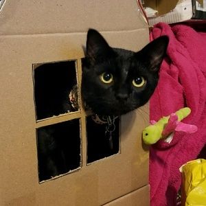 Meet your Posher, Rosalinda